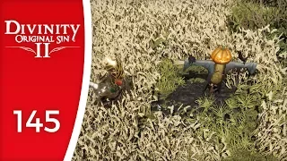 Scarecrows? We're not crows! - Let's Play Divinity: Original Sin 2 #145
