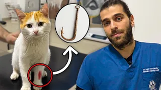 BADLY INJURED CAT! (A Hook Stuck in His Leg!)