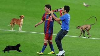 The World's Funniest Pitch Invaders