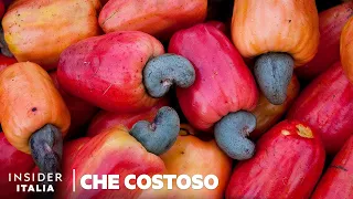 Perché gli Anacardi sono Così Costosi | Che Costoso | Insider Italiano