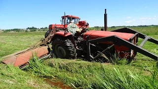 Sianokosy po Polsku! || 7x Ursus || 3x Zetor || Valtra || Kubota || Claas || Full HD 60fps.