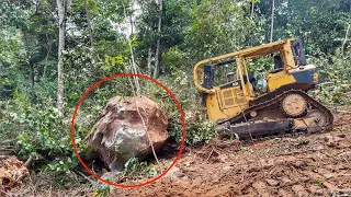 Action Operator Bulldozer CAT D6R XL Pushing Big Rocks and Clearing Palm Oil Fields