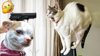 You Laugh You Lose🐕🐈 Funniest Dogs and Cats 2024 🤑