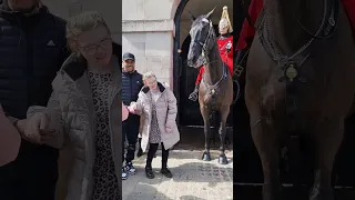 A Woman with Special Needs Had a Wonderful Experience Interacting with a  of the King's Horse
