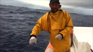 La pêche aux gros thons "DCP Avera-Raiatea"