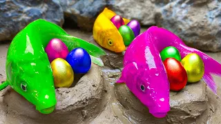 Stop Motion Lego Fish 황금 거북이, 무지개 물고기 함정 핑크 장어 - Colorful Egg Koi swimming pool/ 스톱 모션 요리