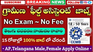 గ్రామీణ ఫీల్డ్ అసిస్టెంట్ జాబ్స్ || Latest jobs in telugu | CCMB Recruitment 2024 | Free Jobs Search