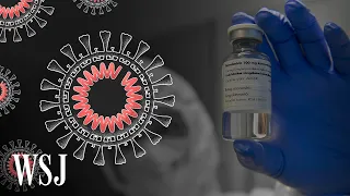 The Critical Coronavirus-Busting Therapies, Explained | WSJ