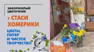 В гостях у Стаси Хомерики-Грановской | Цветы, Питер и чистое творчество