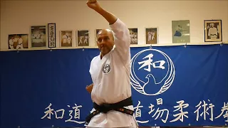 Wado Ryu Hon Dojo - Rei + Basic techniques - 1st Part - karate wadoryu
