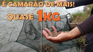 ESSA ARMADILHA É ÓTIMA PRA PEGAR CAMARÃO!