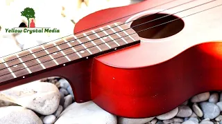 Acoustic Guitar Music  sleep music  Meditation Music Instrumental Music Calming and Relaxing Music