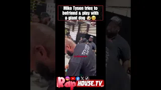 Mike Tyson seen playing with A Huge Dog 😳