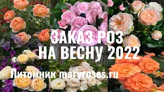 Заказ роз на весну 2022! Питомник Марии Харченко!