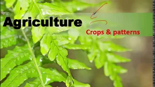 Important Topic : Agriculture Crops and Patterns for Civil Services prelim and Mains