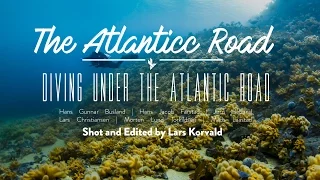 Diving Under the Atlantic Road | Underwater Paradise