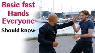 Basic fast hands everyone should know | wing chun