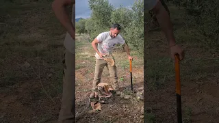 Hacha o cuña para abrir leña, cuña Fiskars. Como hacer leña fácilmente con hacha manual. Firewood ax