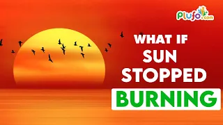 WHAT IF :: Sun Stopped Burning -- #whatif #sun #science