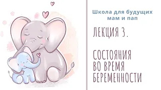 Лекция 3. Состояние женщины во время беременности