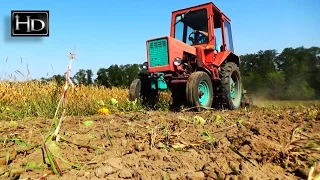 ДИСКУЕМ трактором Т-25 у 2 СЛЕДА.