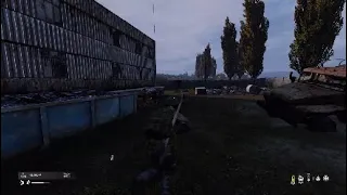 Just SURRENDER!!! DAYZ Moment