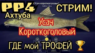 РР4. ЗАШЕЛ СИНИЙ Трофей Усач Короткоголовый на Ахтубе! Прямой эфир с капитаном.