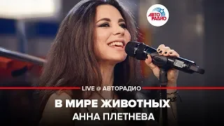 Анна Плетнёва - В Мире Животных (LIVE @ Авторадио)