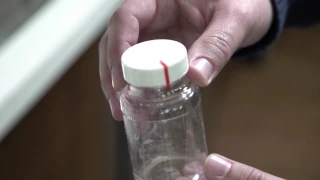 How to Test Well Water for Bacteria