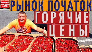 Рынок ПОЧАТОК Одесса I ГОРЯЧИЙ обзор цен I ОПТ и РОЗНИЦА I На YouTube канале Взрослый разговор