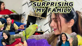 Humary ghar aya new parrot 🦜 | Hira Faisal