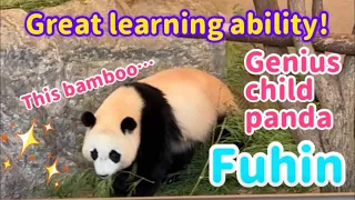 Great Fuhin‼️ Keepers are very helpful😆What is the behavior of the genius child panda❗️🐼