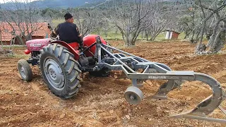 PULLUK KENDİNDEN BÜYÜK  ( Massey Ferguson 135 Lik )