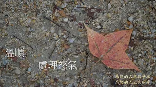 靈修:溫順-處理怒氣 20240514