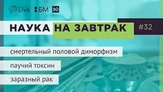 Наука на завтрак #32