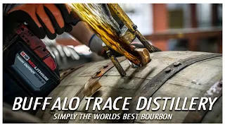 The best bourbon whiskey in the world? Buffalo Trace Distillery Tour
