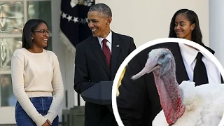 President Obama cracks some brilliant dad jokes during Thanksgiving turkey pardon