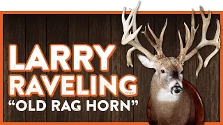 The "Larry Raveling Buck" (aka Old Rag Horn)