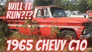 Abandoned 1965 Chevrolet C10 farm truck! Will it run?!? eBay auction special! Scam or score?!?