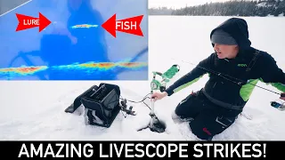 Amazing Ice Fishing Livescope Strikes! (Crappies, Pike, and Perch)