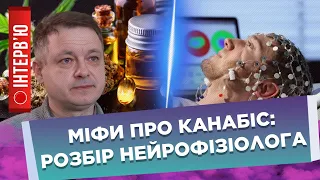 МІФИ ТА ПРАВДА про КАНАБІС очима НЕЙРОФІЗІОЛОГА