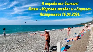 Народа много! 16.04.2024.Лазаревское Пляжи"Морская звезда" и "Бирюза" 🌴ЛАЗАРЕВСКОЕ СЕГОДНЯ🌴СОЧИ.