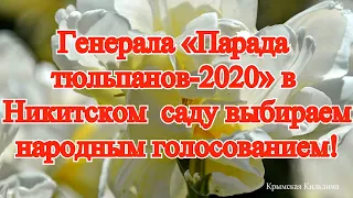 Crimea. Крым. Генерала «Парада тюльпанов-2020» в Никитском  саду выбираем народным голосованием!