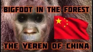 BIGFOOT IN THE FOREST - THE YEREN