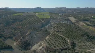 Earthquake creates 900-foot canyon in olive grove in Turkey