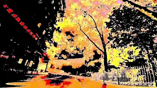 Stoney Creek - Xavier Rudd (HD, official audio)