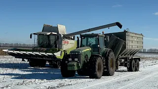 Harvest in winter in Ukraine. Claas Lexion 580, Claas Lexion 508+ Terra Trak.