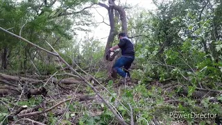 Cutting broke  tree branch /almost fell on me