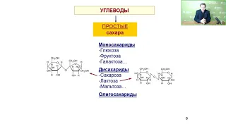Вебинар Губин Углеводы 30.09.2021