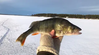 Pilkillä Säkylän Pyhäjärvellä